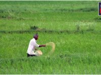 Kisan Loan
