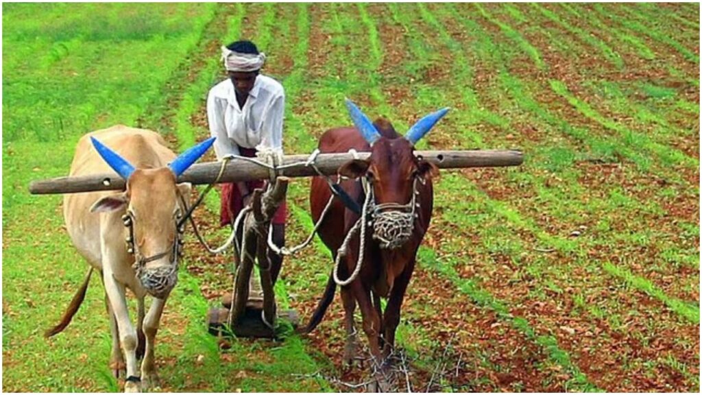 Will Rs 2000 Instalment Be Received in the First Week of October? Get This Work Done Soon
