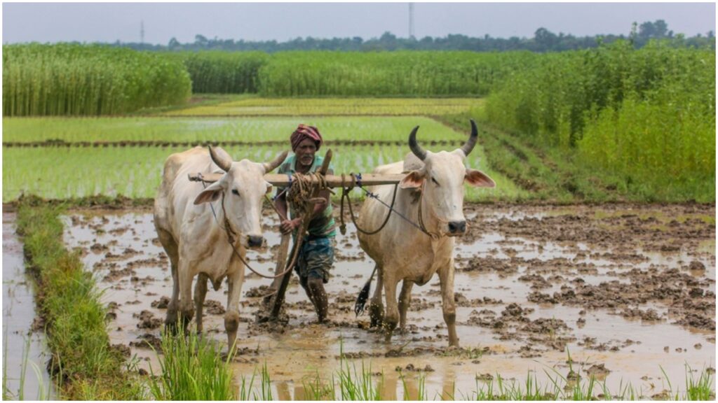 Kisan Yojana 3