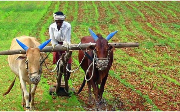 Will Rs 2000 Instalment Be Received in the First Week of October? Get This Work Done Soon