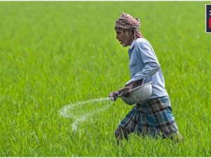 Farmers’ Wait Will Be Over, Know When The Rs 2000 Instalment Will Be Received