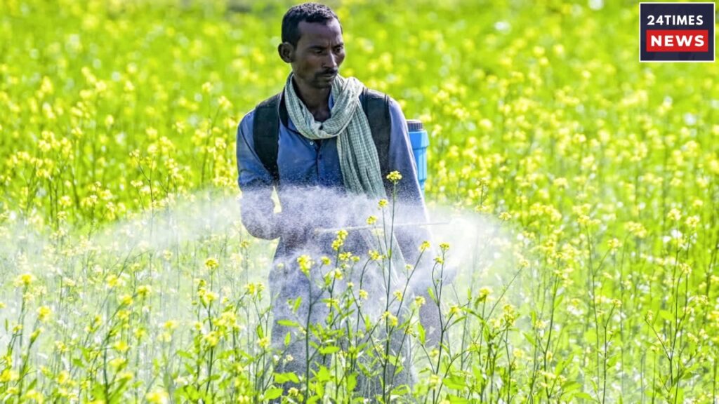 New Update On 24th Instalment of PM Kisan Samman Nidhi Yojana, Know The Details