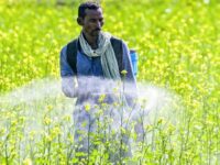 PM KISAN