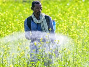 New Update On 24th Instalment of PM Kisan Samman Nidhi Yojana, Know The Details