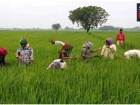 PM Kisan