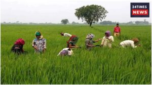 Farmers To Get Gift Before Diwali, 24th Instalment to Be Credited To Accounts.