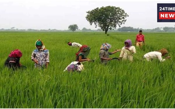 PM Kisan