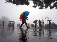 Rain Alert