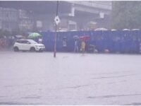 Rain Alert