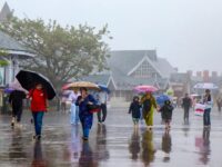 Rain Forecast