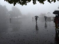 Weather Forecast