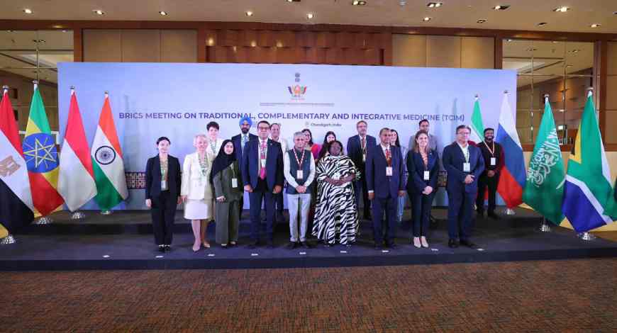 BRICS Summit