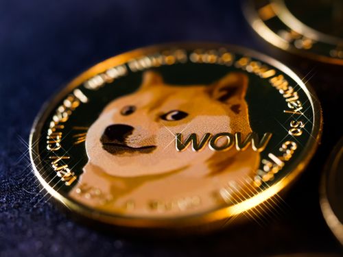 Doge Coin Photos, Download The BEST Free Doge Coin Stock Photos & HD Images