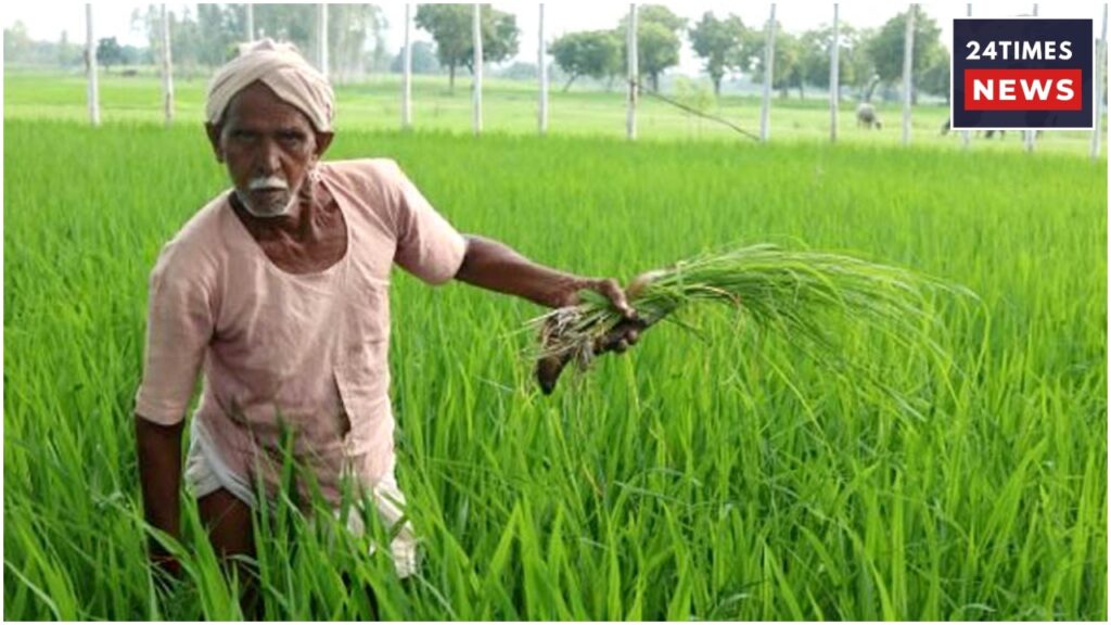 pm kisan 1 1