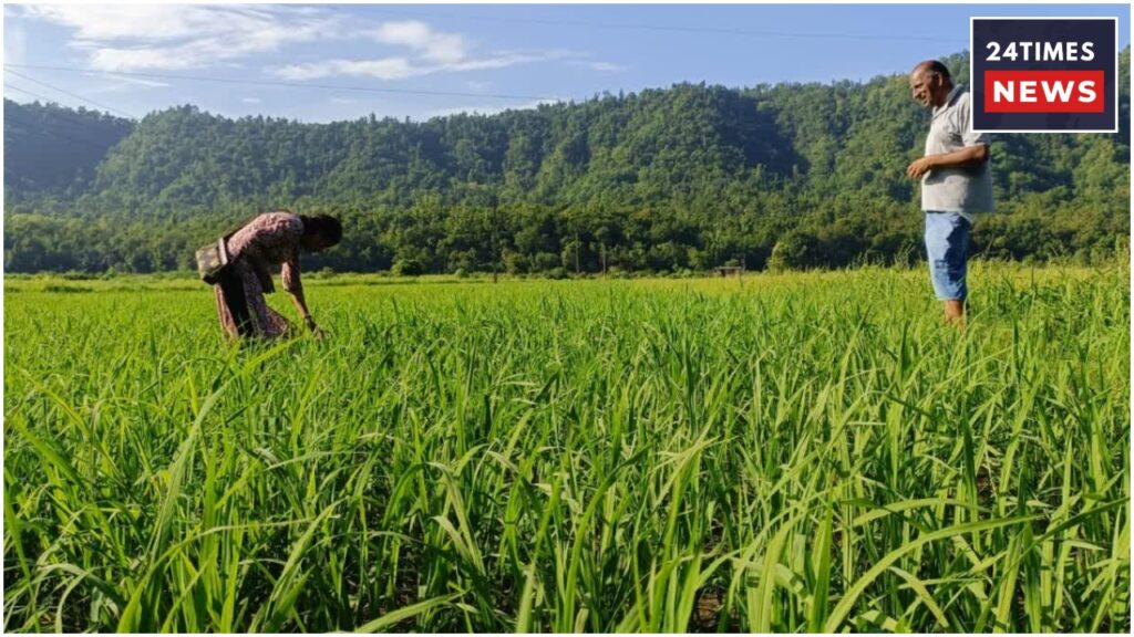 pm kisan 2 1