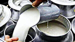 Milk, ghee and butter prices are increasing from October 28!