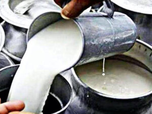 Milk, ghee and butter prices are increasing from October 28!