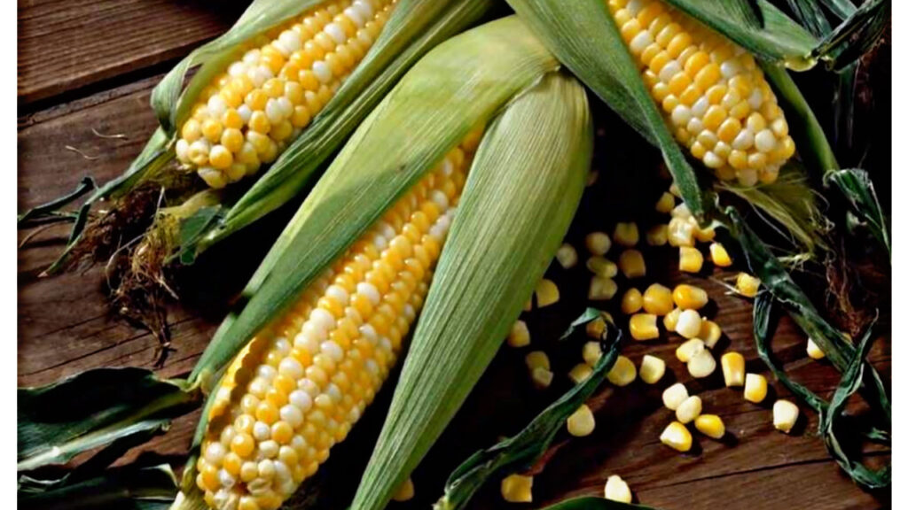 Know the magical benefits of corn husk, you will get all these benefits!