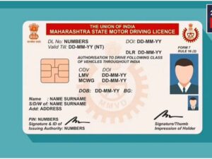Government Makes Plan, Now Driving Licenses Will Come In Different Colours