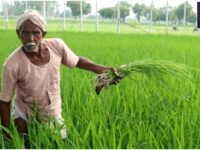 Kisan Yojana