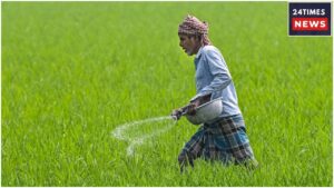 Farmers Want Rs 2000 Instalment? Get This Work Done Quickly