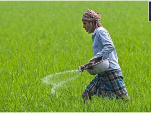 Farmers Want Rs 2000 Instalment? Get This Work Done Quickly
