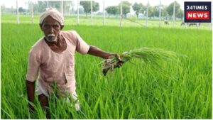 Will Rs 2000 Instalment Come Into Farmers’ Accounts On October 20? Know The Update