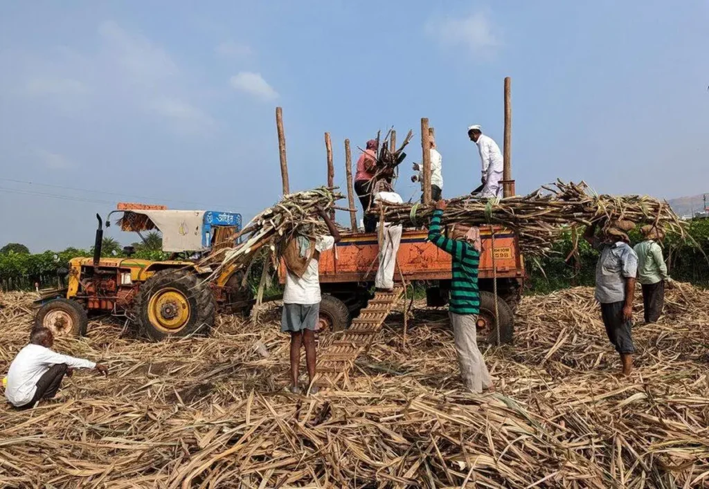 Maharashtra sugar mills
