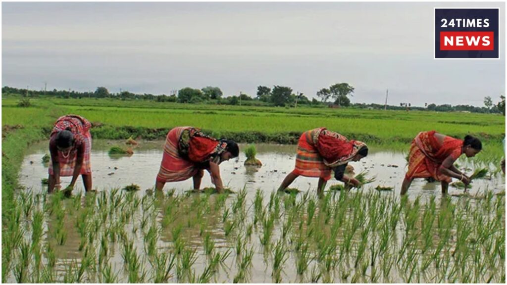 PM KISAN 2