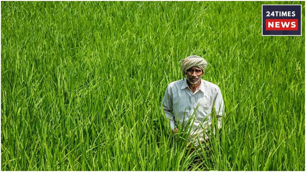 PM Kisan Yojana 3 2 PM Kisan Yojana 3 2