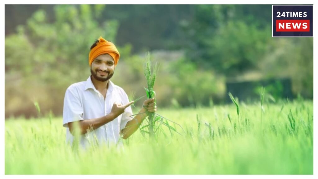 Farmers Should Do This Work Immediately, Only Then Will They Get Next Rs 2000 Installmen
