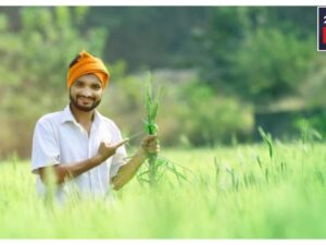 Farmers Should Do This Work Immediately, Only Then Will They Get Next Rs 2000 Installmen