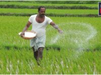 PM Kisan Yojana