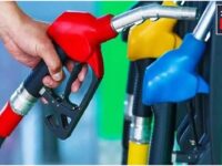 Petrol Diesel Price 8 Petrol-Diesel Price