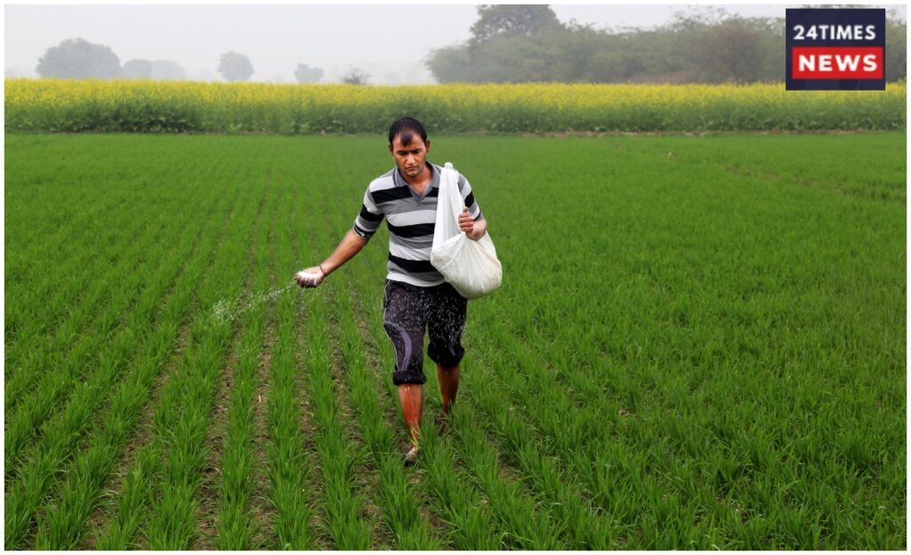 Rabi Crop Sowing