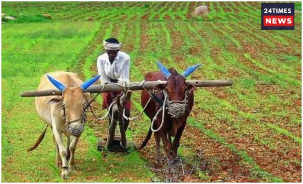 Rabi Crop Sowing 2