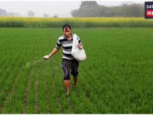 Rabi Crop Sowing 2026: If Your Field Is Waterlogged, Sow These Crops For Profit