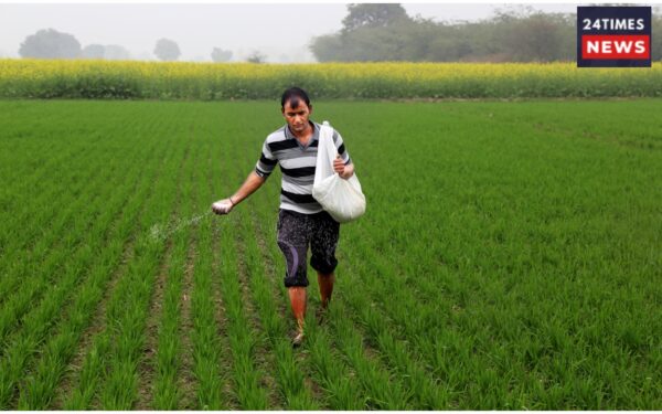 Rabi Crop Sowing