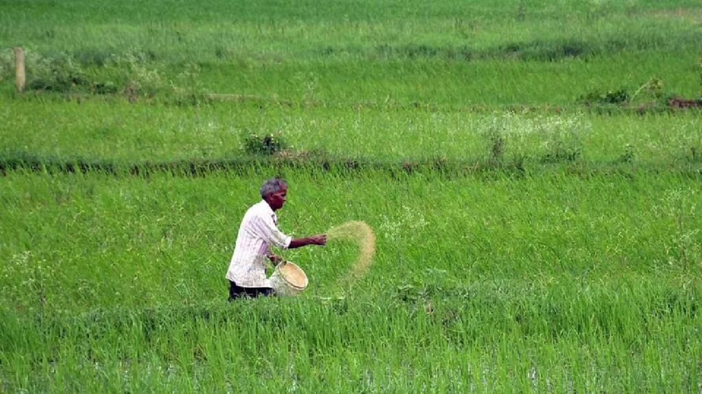 farmers