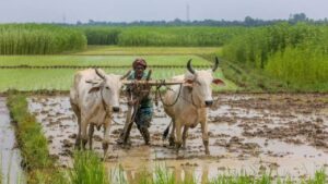 How Will Farmers Get a Rs 3000 Pension Every Month? Check Update