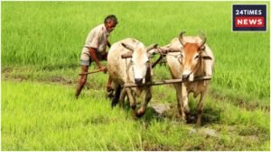 Will Farmers Get Rs 2,000 Instalment Before Diwali? Know The Latest Update