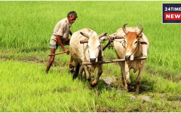 pm kisan yojana pm kisan yojana