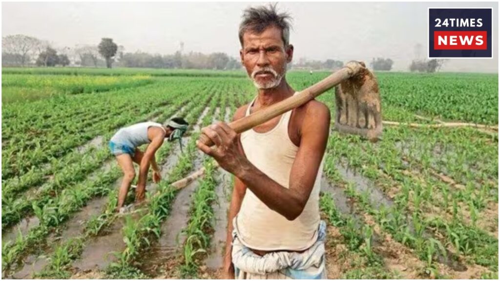 Government Gives Diwali Gift To Farmers, Rs 5000 To Be Credited To Accounts, Know Details