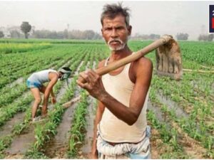 Government Gives Diwali Gift To Farmers, Rs 5000 To Be Credited To Accounts, Know Details