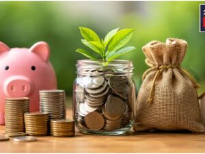 Interest Rates For Small Savings Schemes Including PPF Released, Check Details